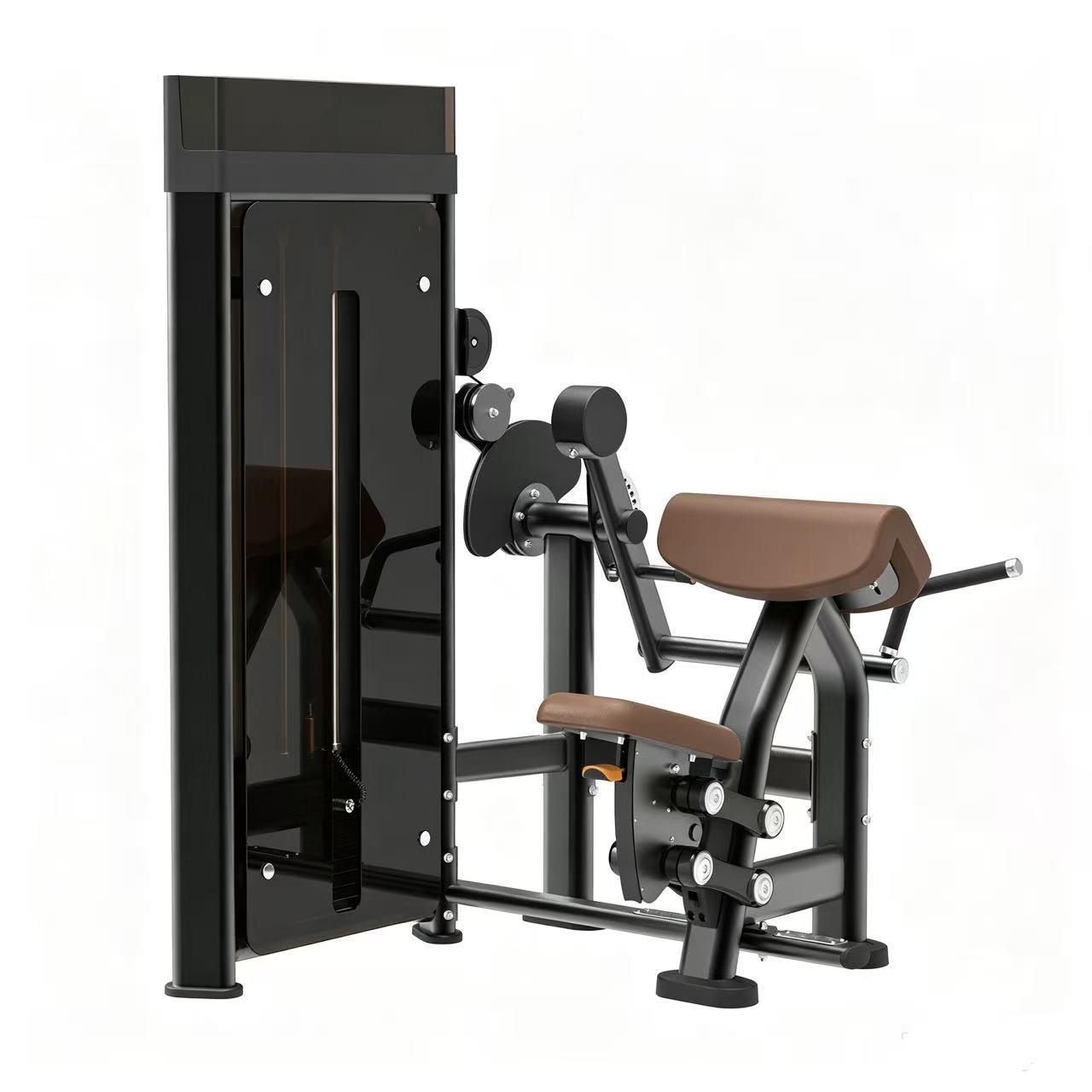 DM0506 Biceps & Triceps Machine